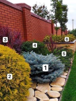 Share landscape design ideas